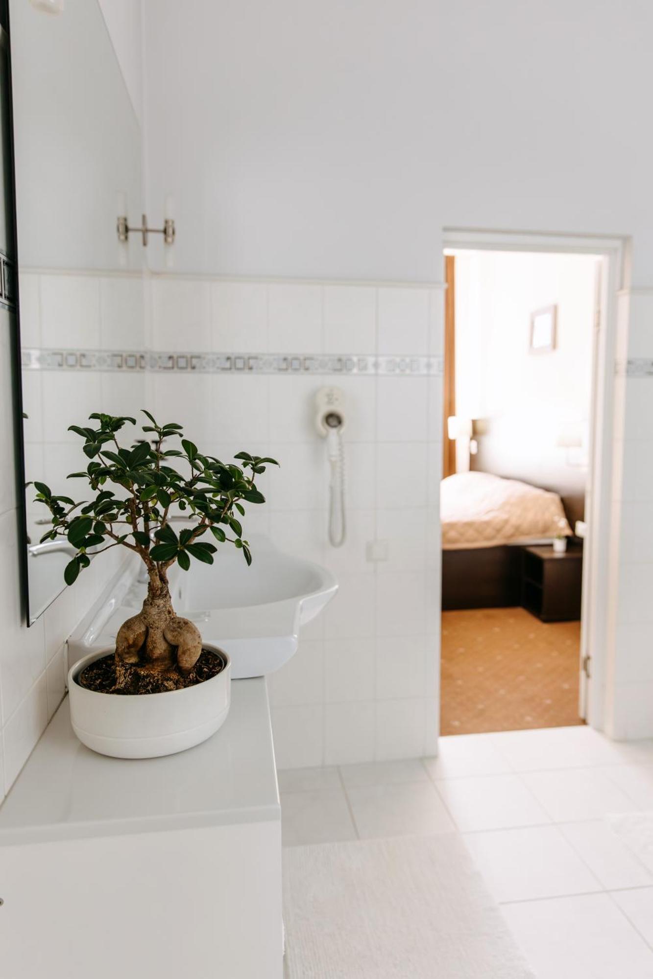 Summit Villa キシナウ エクステリア 写真
